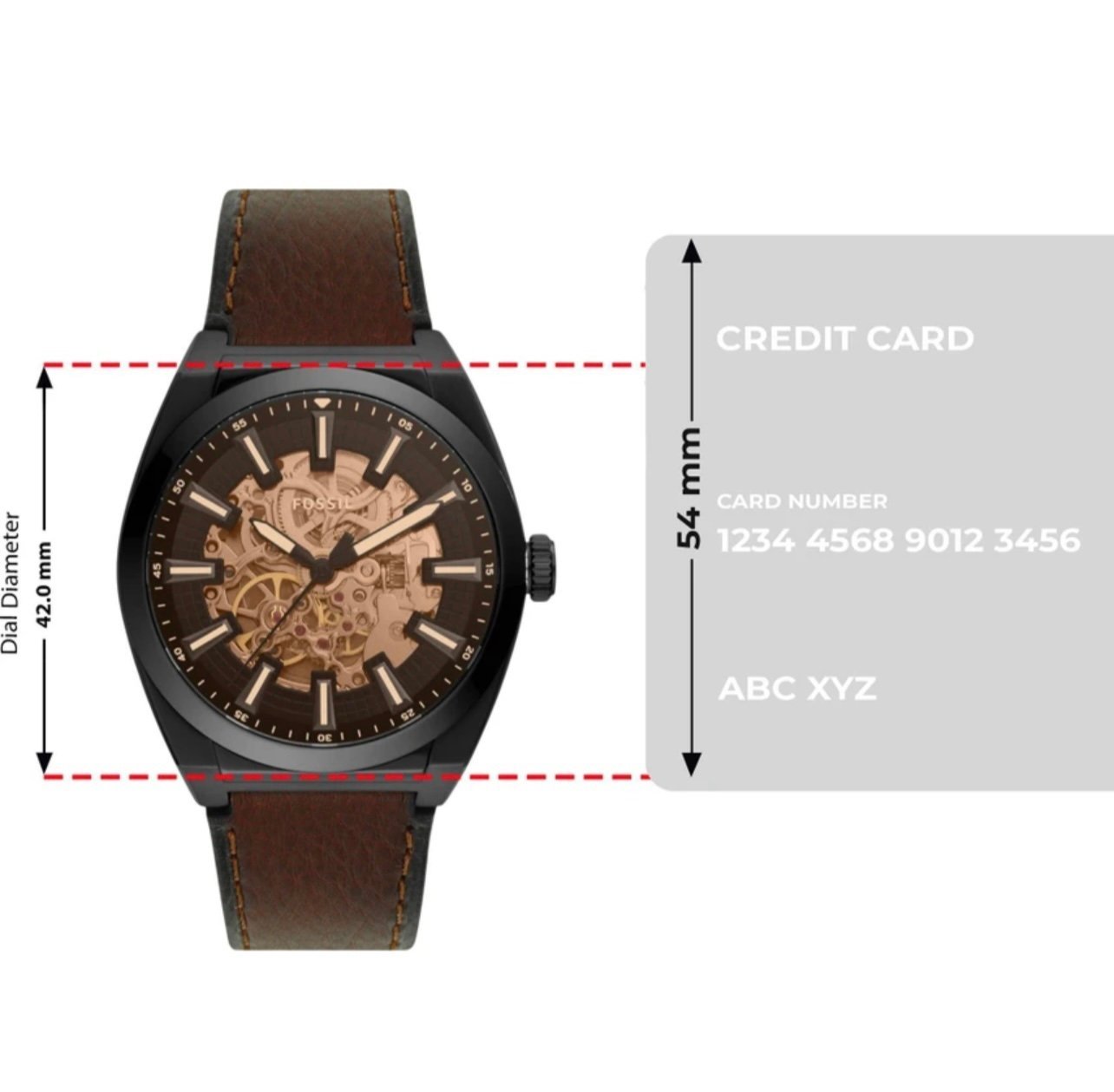 Fossil Everett - Image 3